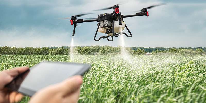 biznes-idei-v-selskom-hozjajstve-perspektivnye-napravlenija-i-innovacionnye-tehnologii