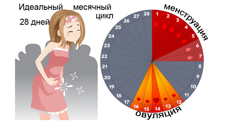 skolko-dnej-dljatsja-mesjachnye-norma-otklonenija-i-faktory-vlijanija