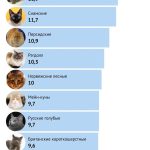 Сколько живут коты: Факторы, влияющие на продолжительность жизни